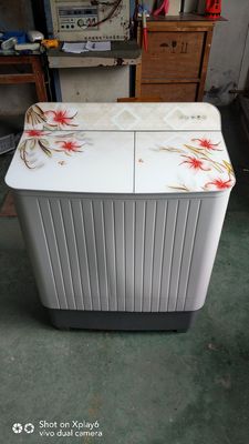Chine Machine à laver électrique sûre de deux baquets avec le corps de plastique vigoureux Eco Frriendly fournisseur