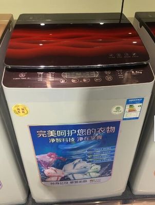 Chine Machine à laver de base du chargement 8kg supérieur, joint d'or de charge d'agrostide blanche et ensemble de dessiccateur fournisseur